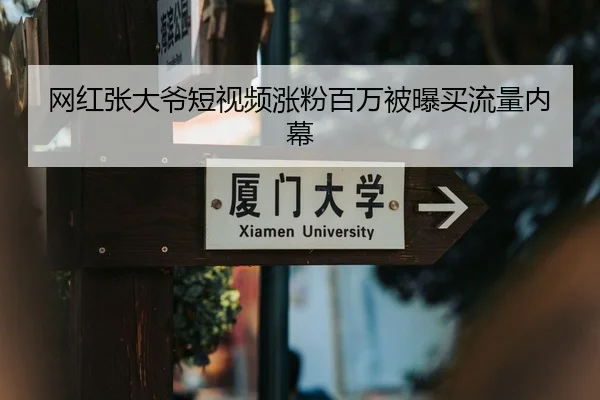 网红张大爷短视频涨粉百万被曝买流量内幕